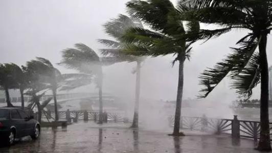 8月臺風雨即將來，除濕機還得用起來