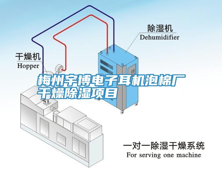 梅州宇博電子耳機(jī)泡棉廠干燥除濕項(xiàng)目