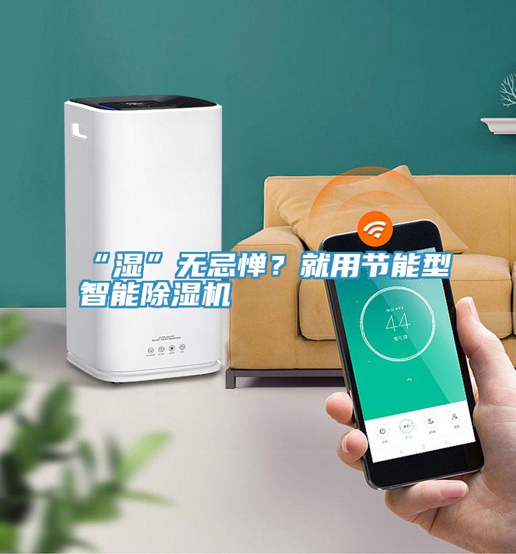 “濕”無忌憚？就用節(jié)能型智能除濕機