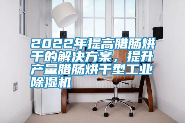 2022年提高臘腸烘干的解決方案，提升產(chǎn)量臘腸烘干型工業(yè)除濕機