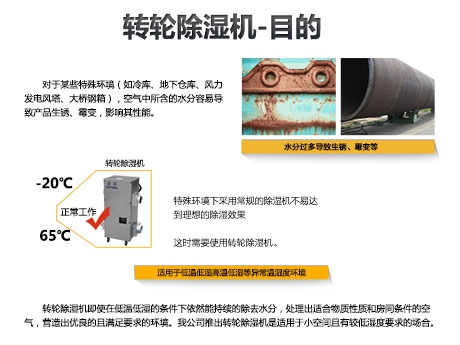 貓糧防潮秘籍，貓糧如何儲存