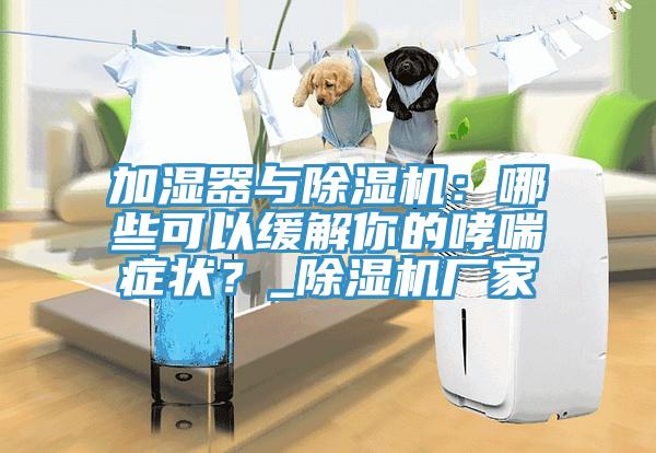 加濕器與除濕機(jī)：哪些可以緩解你的哮喘癥狀？_除濕機(jī)廠家