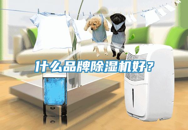 什么品牌除濕機(jī)好？