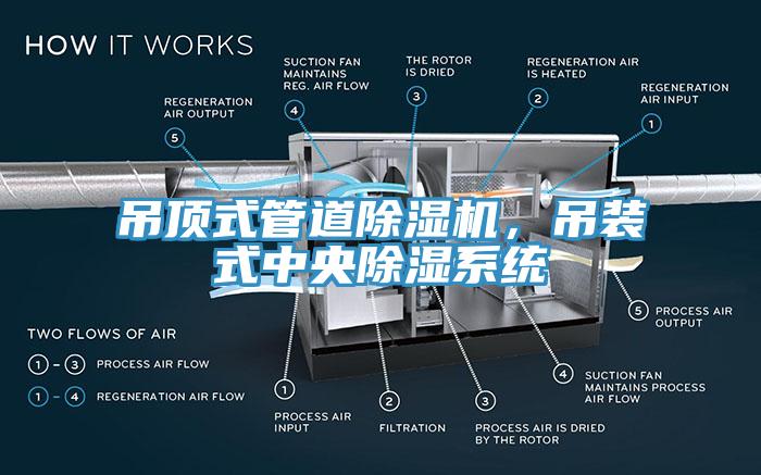 吊頂式管道除濕機，吊裝式中央除濕系統(tǒng)