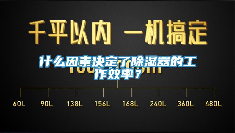 什么因素決定了除濕器的工作效率？