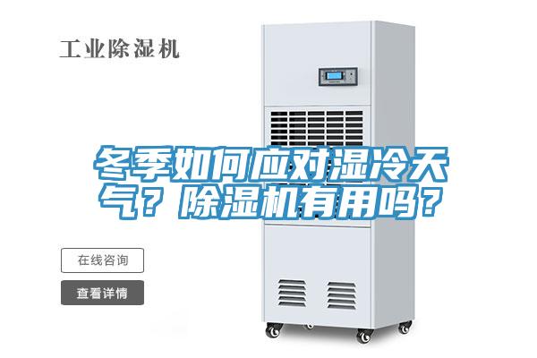 冬季如何應對濕冷天氣？除濕機有用嗎？