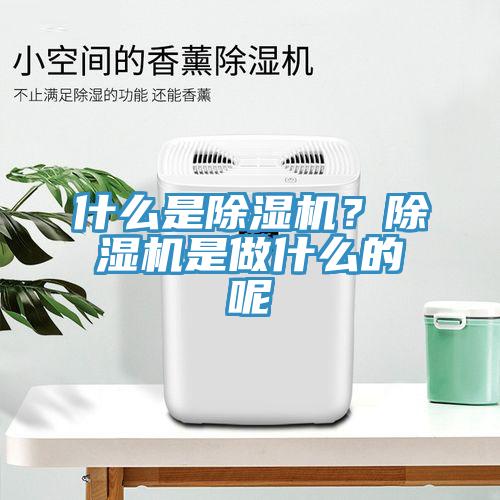 什么是除濕機(jī)？除濕機(jī)是做什么的呢