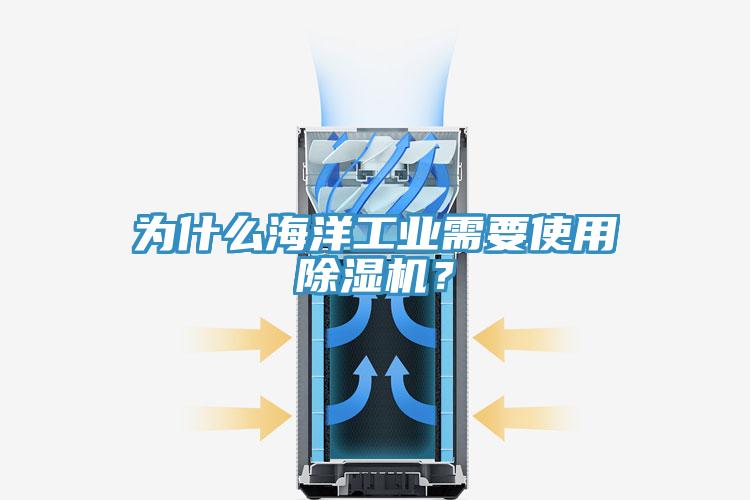 為什么海洋工業(yè)需要使用除濕機？