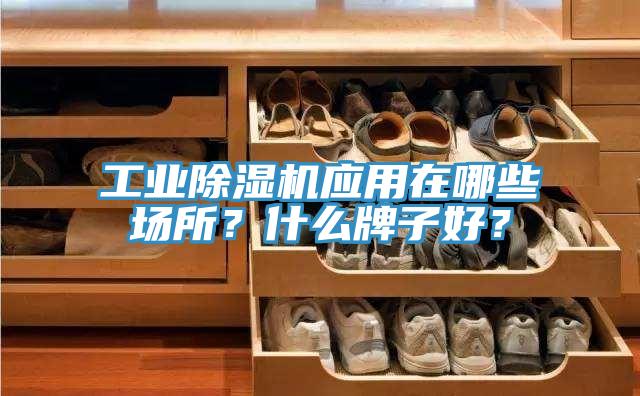 工業(yè)除濕機應用在哪些場所？什么牌子好？