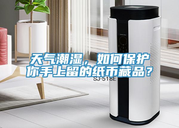 天氣潮濕，如何保護你手上留的紙幣藏品？