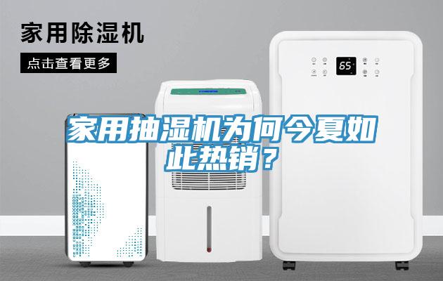 家用抽濕機為何今夏如此熱銷？