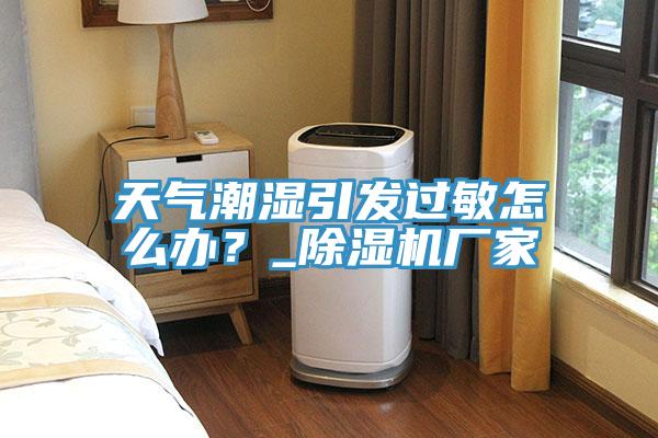 天氣潮濕引發(fā)過敏怎么辦？_除濕機(jī)廠家