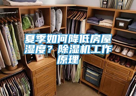 夏季如何降低房屋濕度？除濕機(jī)工作原理