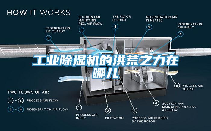 工業(yè)除濕機的洪荒之力在哪兒