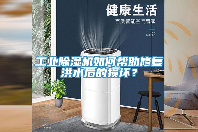 工業(yè)除濕機(jī)如何幫助修復(fù)洪水后的損壞？