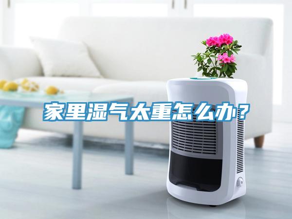 家里濕氣太重怎么辦？