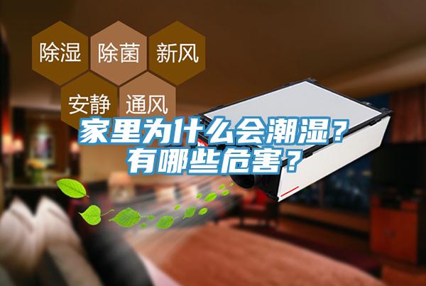 家里為什么會潮濕？有哪些危害？