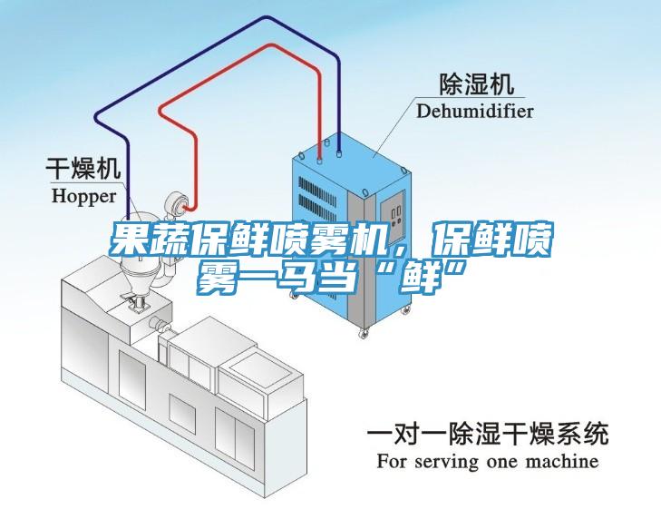 果蔬保鮮噴霧機(jī)，保鮮噴霧一馬當(dāng)“鮮”