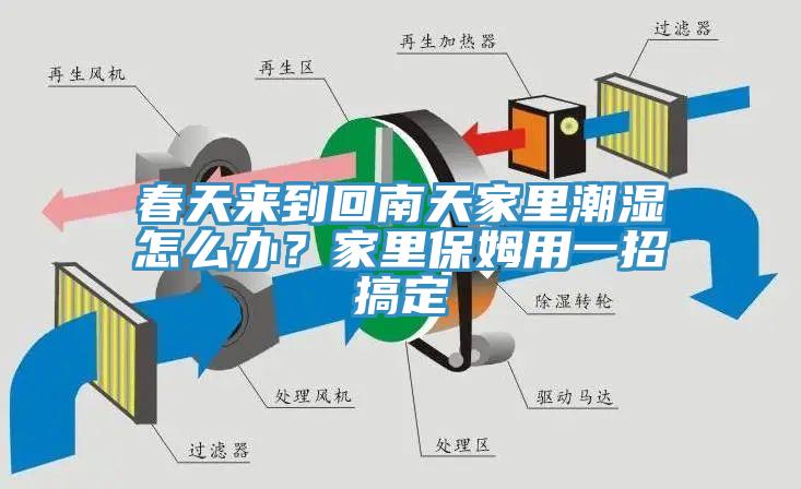 春天來到回南天家里潮濕怎么辦？家里保姆用一招搞定