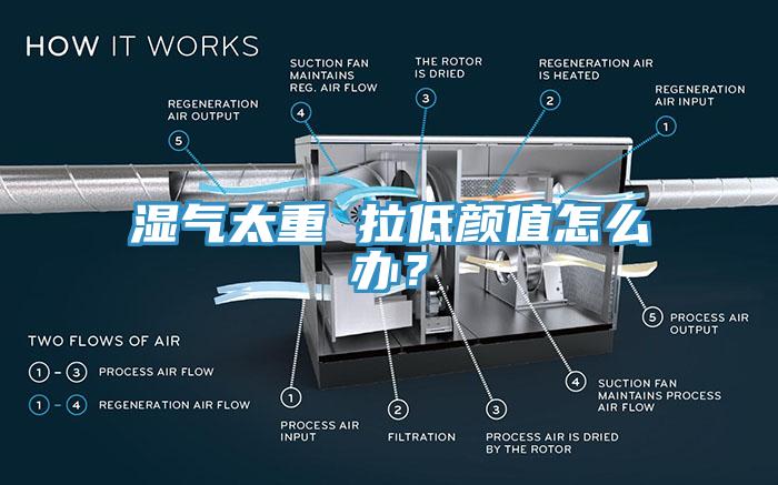 濕氣太重 拉低顏值怎么辦？