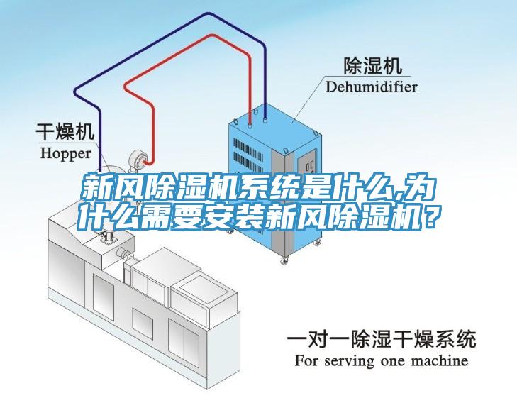 新風(fēng)除濕機系統(tǒng)是什么,為什么需要安裝新風(fēng)除濕機？