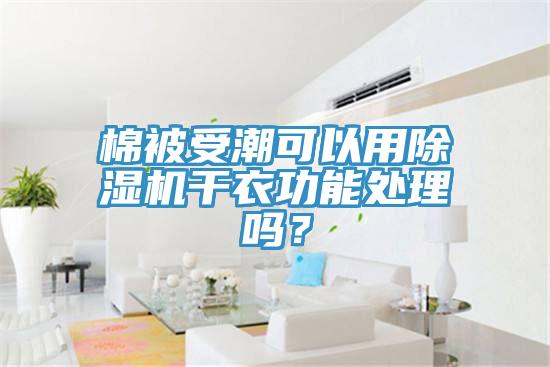 棉被受潮可以用除濕機干衣功能處理嗎？