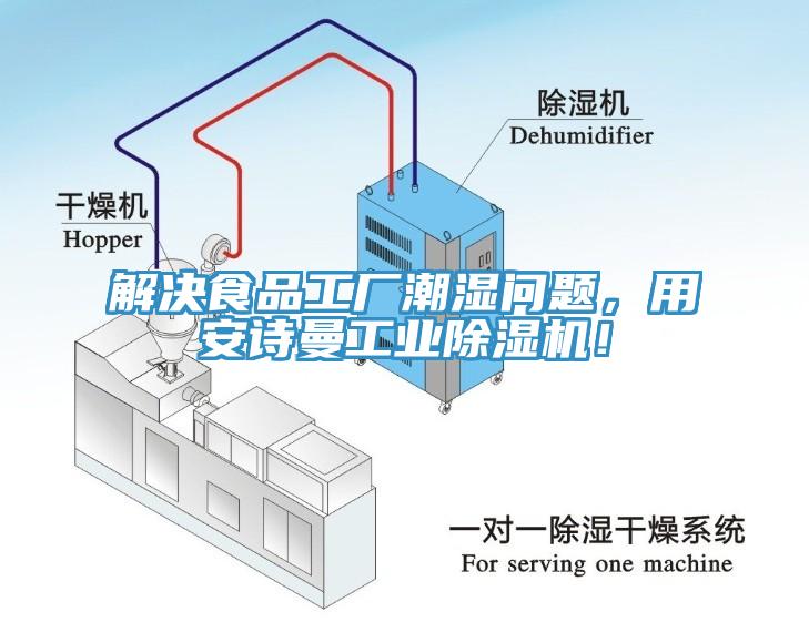 解決食品工廠潮濕問題，用安詩曼工業(yè)除濕機(jī)！