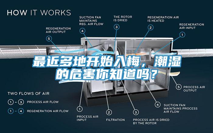 最近多地開始入梅，潮濕的危害你知道嗎？