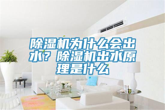 除濕機(jī)為什么會(huì)出水？除濕機(jī)出水原理是什么