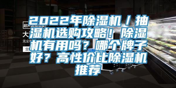 2022年除濕機(jī)／抽濕機(jī)選購攻略！除濕機(jī)有用嗎？哪個(gè)牌子好？高性價(jià)比除濕機(jī)推薦