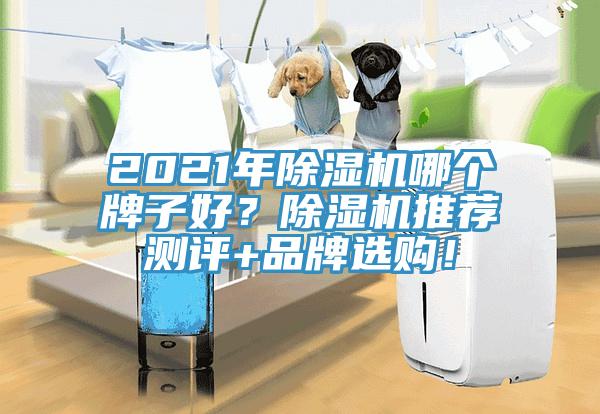 2021年除濕機(jī)哪個(gè)牌子好？除濕機(jī)推薦測(cè)評(píng)+品牌選購！