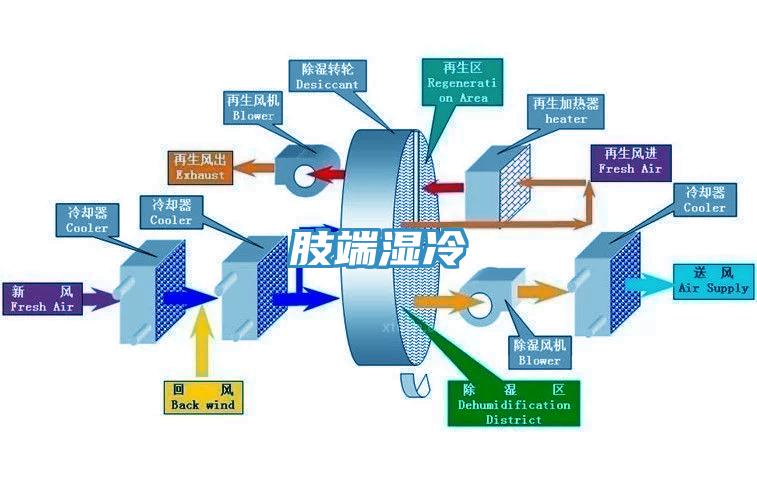 肢端濕冷