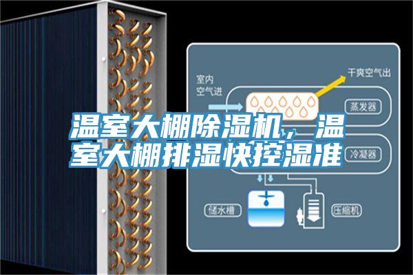 溫室大棚除濕機(jī)，溫室大棚排濕快控濕準(zhǔn)