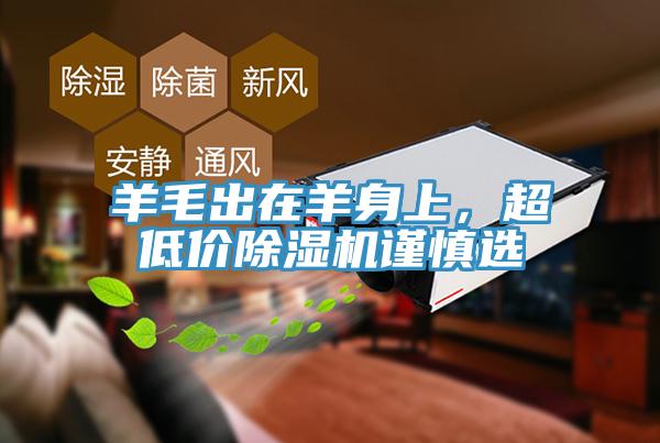 羊毛出在羊身上，超低價除濕機謹慎選