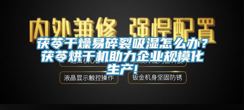 茯苓干燥易碎裂吸濕怎么辦？茯苓烘干機(jī)助力企業(yè)規(guī)模化生產(chǎn)!