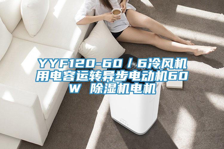 YYF120-60／6冷風(fēng)機用電容運轉(zhuǎn)異步電動機60W 除濕機電機