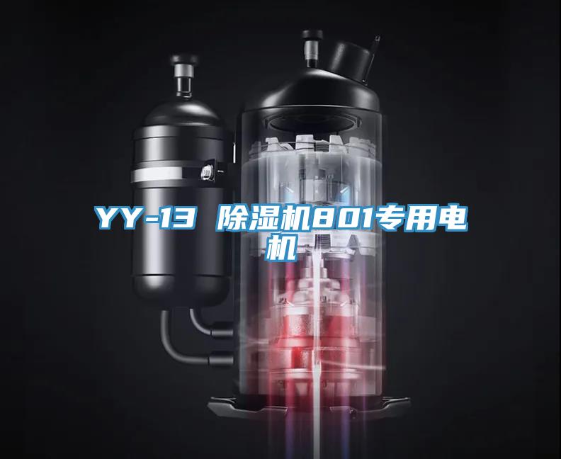 YY-13 除濕機801專用電機