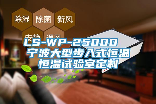 LS-WP-25000  寧波大型步入式恒溫恒濕試驗(yàn)室定制