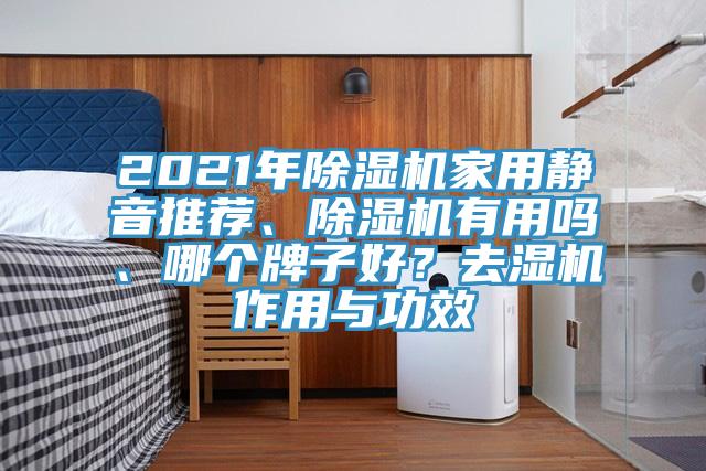 2021年除濕機(jī)家用靜音推薦、除濕機(jī)有用嗎、哪個(gè)牌子好？去濕機(jī)作用與功效