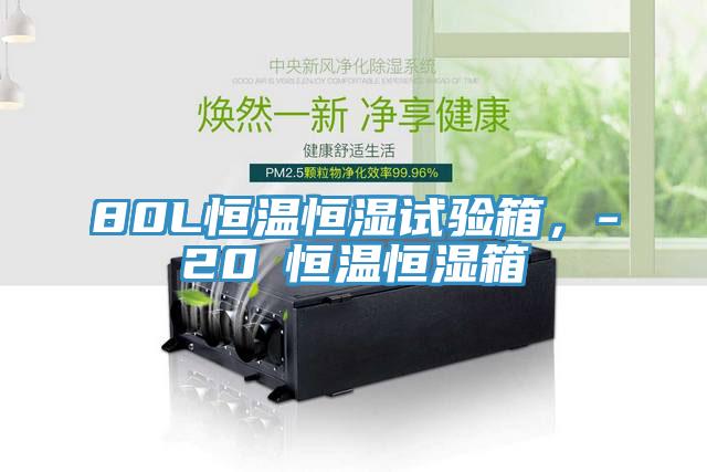 80L恒溫恒濕試驗箱，-20℃恒溫恒濕箱