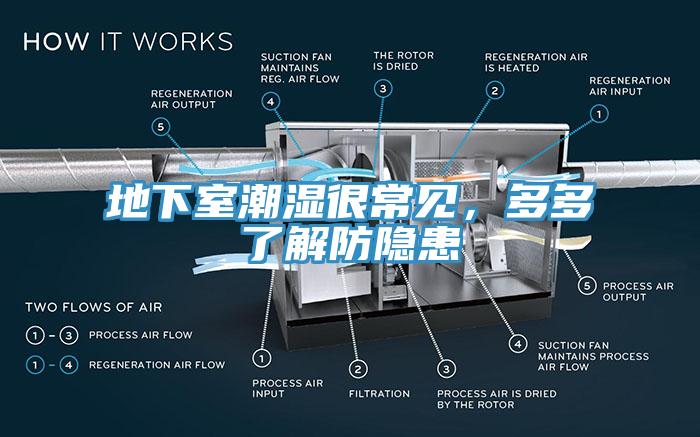 地下室潮濕很常見，多多了解防隱患