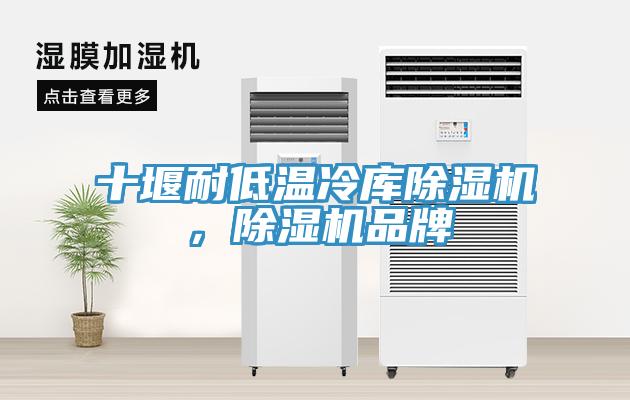 十堰耐低溫冷庫除濕機，除濕機品牌