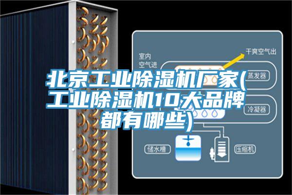 北京工業(yè)除濕機廠家(工業(yè)除濕機10大品牌都有哪些)