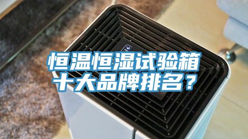 恒溫恒濕試驗(yàn)箱十大品牌排名？