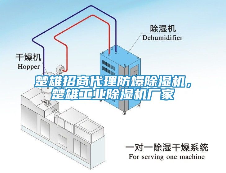 楚雄招商代理防爆除濕機(jī)，楚雄工業(yè)除濕機(jī)廠家