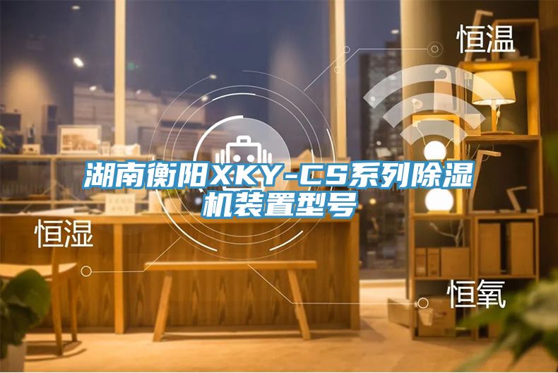 湖南衡陽XKY-CS系列除濕機(jī)裝置型號