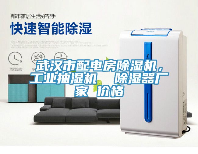 武漢市配電房除濕機(jī)，工業(yè)抽濕機(jī)  除濕器廠家 價(jià)格