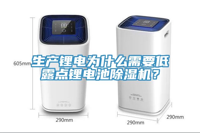 生產鋰電為什么需要低露點鋰電池除濕機？