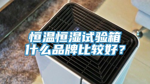 恒溫恒濕試驗(yàn)箱什么品牌比較好？