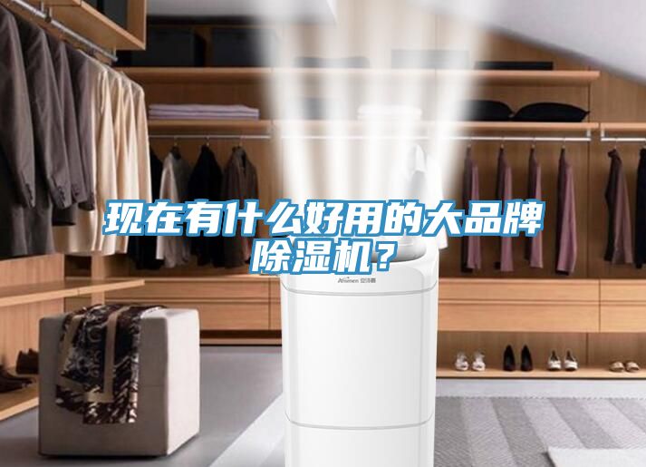 現(xiàn)在有什么好用的大品牌除濕機(jī)？